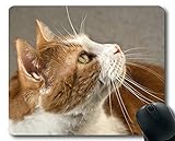 Gaming-Mauspad, Katzen-Mauspad, Mauspad für Computer cat337