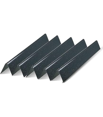 maigre lin Les bactéries barbecue weber grille fonte moyenne Persée interne