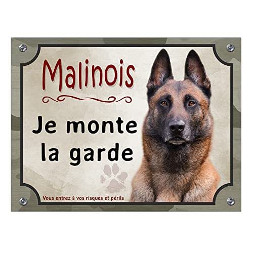 Plaque Attention au chien race Berger Belge Malinois monte la garde, Illustration, Modèle 1 main image 1