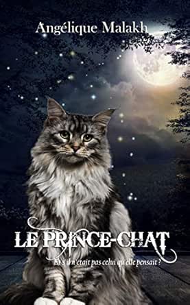 Le Prince Chat Ebook Malakh Angelique Provost Martine Amazon Fr