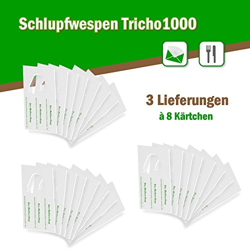 Schlupfwespen gegen Lebensmittelmotten 8 Stück 1000-er Kärtchen 3 Lieferungen