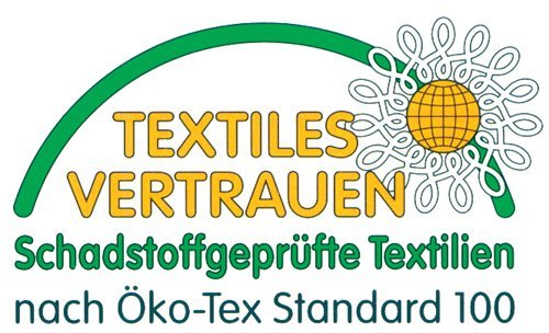 4 x Sofa Federkissen 40×60 cm (echte Federn) robust & formstabil - 2