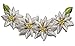 Produktbild Belldessa Edelweiß Ranke 9,6 cm * 5 cm Bügelbild Aufnäher Applikation - Trachten Edelweißranke Blüte Blumen Bayrische Blume