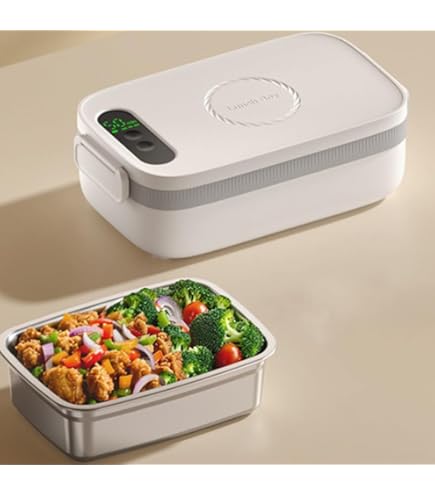 COZYEXPERT Elektrische lunchbox-verwarmde voedselverwarmer 100 W verwarming lunchbox voor