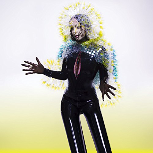 Vulnicura [Vinilo]