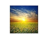 Lieferverpackung: Folie, stabiler Karton !