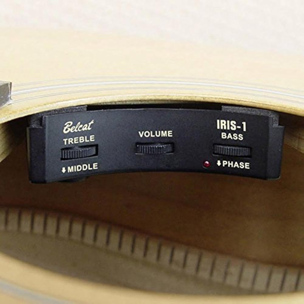 Звукосниматель Для Акустической Гитары С Блютузом Купить