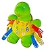 Buckle Toy Bucky Turtle
