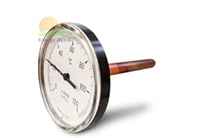 BEST SOLAR Termometro bimetallico con pozzetto lungo gambo 10 cm, scala 0-120°C, diametro 62 mm, filetto 1/2"M