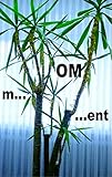 m...OM...ent: Das Leben nach dem spirituellen Burnout by Pier Zellin, Pia Zellin