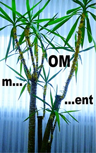 m...OM...ent: Das Leben nach dem spirituellen Burnout