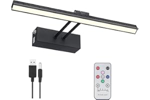 FUNCHDAY Wierelss Picture Light, 13inch Picture Light Battery Operated, Remote Control Painting Light with Timer and Dimmable, Full Metal Art Light for Display,Wall,Artwork,Portrait,Gallery (Black)
