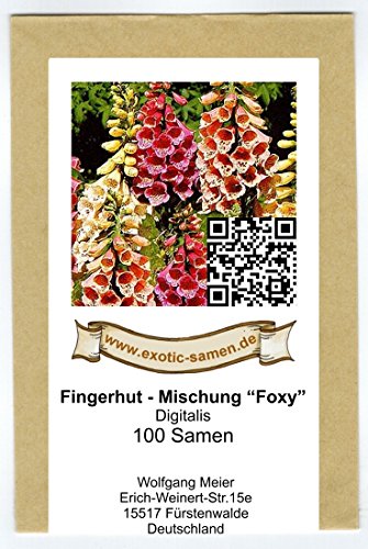 Digitalis – Fingerhut – Samenmischung Foxy – 100 Samen - 2