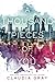 A Thousand Pieces of You (Firebird Book 1) (English Edition) by Claudia Gray