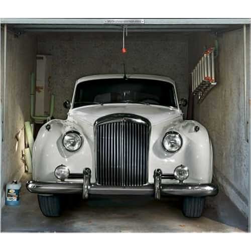 Suchergebnis auf Amazon.de für: garagentor poster