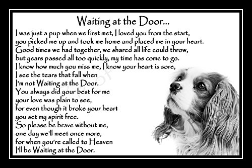 King-Charles-Spaniel-Pet-Dog-Bereavement-Memorial-Print-unframed-Waiting-at-the-Door