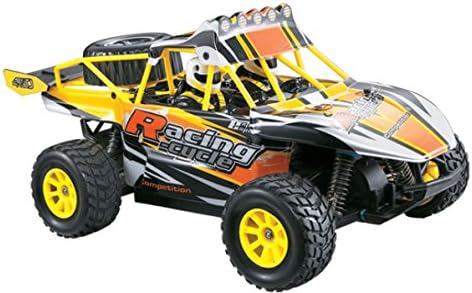 Rayline Fun Race 01S – 1: 18 Scale Pro Sand Buggy 4WD with 1500 mAh LiPo Battery up to 70 km/h schnell