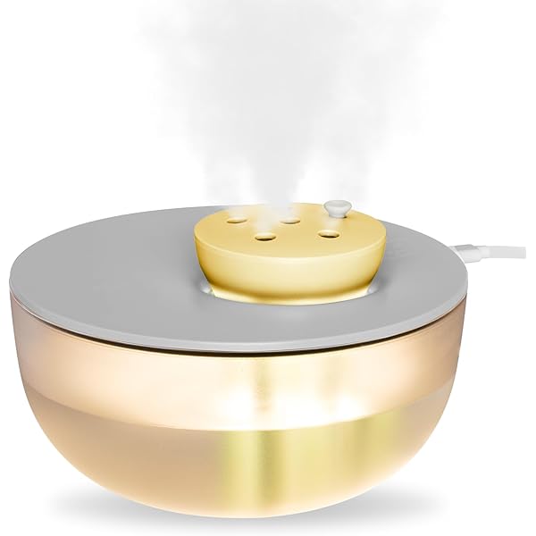 Rainpal 1,2L Mini Humidificateur D'air Avec éclairage, 20dB Humidificateur De Brouillard Froid Réglable à 6 Vitesses, 300 Ml/H Volume De Brouillard Avec