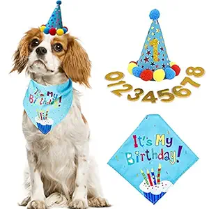 Dog Birthday Bandana Hat Scarf Party Supplies (Blue)