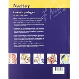 Netter. anatomia patologica