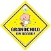 Grandchild on Board Car Sign, Grandchild on Board, Grandchild on Board New Bear, Baby On Board, Unisex Baby on Board, New Bear Car Sign, Baby Sign, Car Sign, Baby On Board, Baby Car Sign, Bumper Sticker, Grandchildren Car Sign
