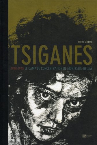 couverture de : Tsiganes