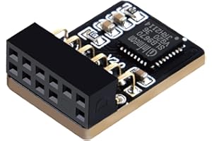 NewHail TPM2.0 Módulo TPM SPI 12Pin con infineon SLB 9670 para Algunos Modelos de Placa Base Gigabyte