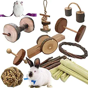 10 PCS Pets Guinea Pig Toys, Natural Apple and Birch Made, Keep Your Little Pet Closer to Nature, Fun Dumbbell Exercise Toy, Teeth Care Molar for Chinchilla Hamster Rabbits Bird Rat Gerbil