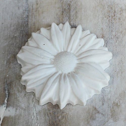 Mold Flower – Finish Strong