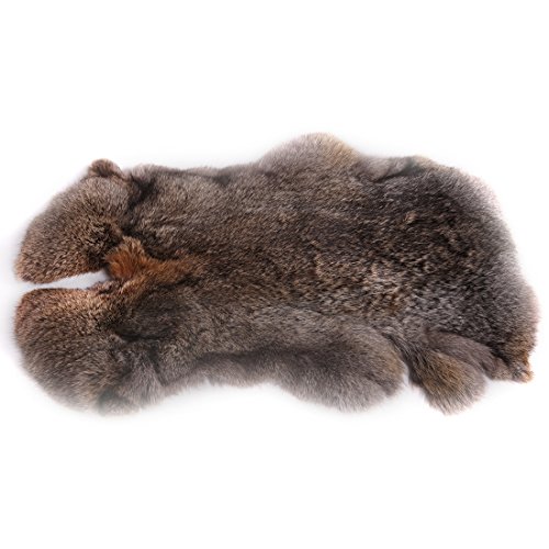 URSFUR Erstklassige Felle aus Kaninchen Echte Tierfell Kaninchenfell Kanin Hasenfell 18.5*11Inches