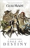 Image de Guild Wars: Edge of Destiny (English Edition)