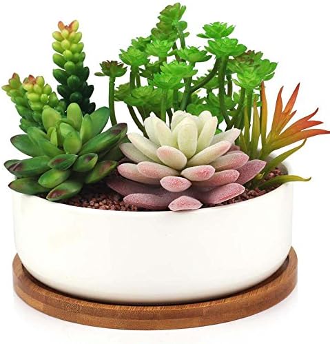 Succulent Planter, INNOTER Modern White Ceramic Cactus Flower Pot Plant Pot with Bamboo Tray (Round)