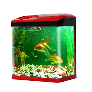 JAINSONS PET PRODUCTS Fish Aquarium Combo Tank-15 LTR (Colour May Vary)