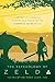 Produktbild The Psychology of Zelda: Linking Our World to the Legend of Zelda Series