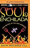 Soul Enchilada by 