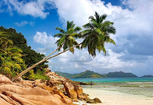 Preisvergleich Produktbild Castorland C-103713 - Geheimer Strand, Seychellen - 1000 Teile Puzzle