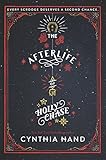 The Afterlife of Holly Chase by Cynthia Hand