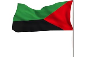 HPMAISON Drapeau Martinique France 5 x 3ft/150x90 cm Drapeau de l'indépendance de la Martinique Grand Couleurs Vives Polyester Avec œillets en Métal Célébrations Extérieur Intérieur