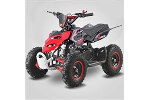 T-MOTO.IT #1 OFF ROAD LEADER T-MOTO - Mini quad a motore per bambini RAPTOR Ruota 6 - Mini quad 50cc a 2 Tempi - Mini Quad a benzina Raffreddamento ad aria - Quad bambini benzina