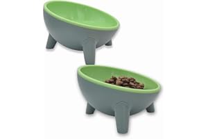 PET TRADING POST Raised Cat Bowl - Set of 2 Gift Boxed Green Kitten Feeding Bowls or Cat Food Bowls, Tilted Elevated Cat Feeder Set for Easy Eating & Improved Digestion