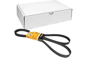 CONTITECH 6PK2115 Cinghia servizi Cinghia Poly-V Cinghia alternatore Cinghia dei servizi