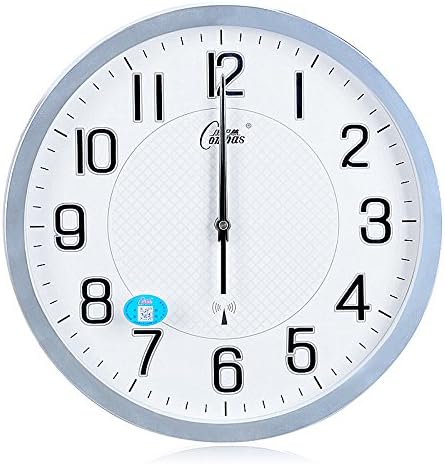 Quietness @ Modern Colorful Creative Silent Non-ticking Wall Clock The airwaves /14 inch/ round silver Wave Clock