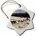 Produktbild cwb2jcwb2jcwb2j Zoll-Porzellan Schneeflocke Deko, Sonnenspirale, Iditarod Schlitten Hund Racing in Fairbanks