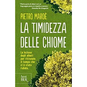 La timidezza delle chiome La timidezza delle chiome