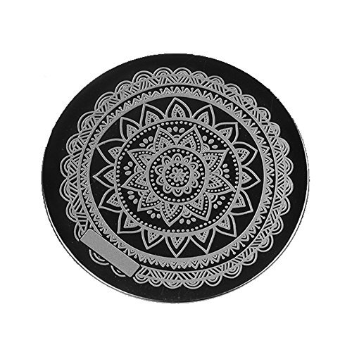 Born Pretty Full Flower Design Nail Art Stamp Template Image Plate Pattern #Qgirl-030