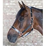 Halfter und Führstrick x Line Pferd