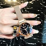 Uhr-Mädchen-Wasserdichte Art und Weise vereinfachte Quarz-Uhr Sternenetz-Rote Neue Art, Rose Gold