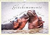Glücksmomente Glücks-Zitate zu Fotos der großartigen südafrikanischen Tierwelt (Wandkalender 2020 DIN A4 quer) by 