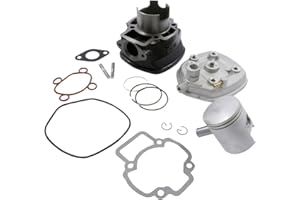 Zylinder 70ccm 2EXTREME Sport kompatibel mit Piaggio NRG NTT ZIP Aprilia SR50 GILERA DNA SP