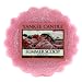 Produktbild YANKEE CANDLE Duft Tart SUMMER SCOOP